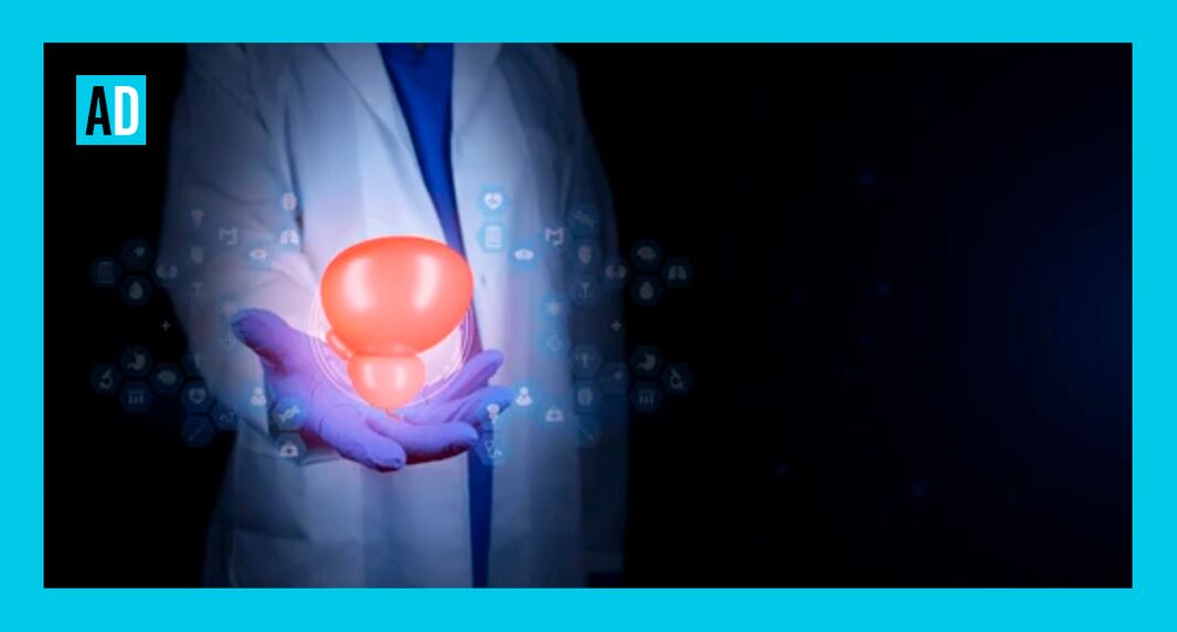 Maintenir la santé de la prostate